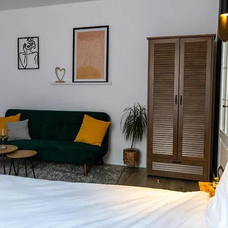 Cozy Studio Sibiu Esterno foto